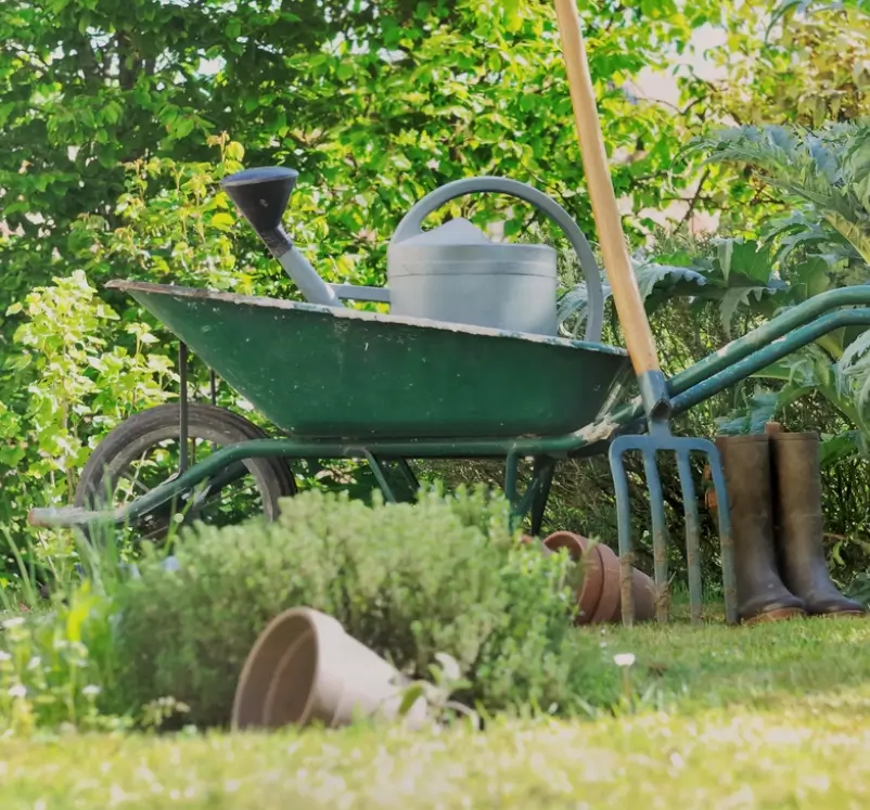 particuliers jardiversité brouette jardin